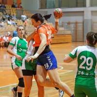 Žurd Koper : Krka 20:27 (8:14)