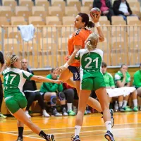 Žurd Koper : Krka 20:27 (8:14)
