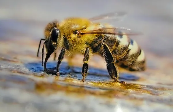 Fotografija je simbolična.