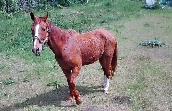Fotografija je simbolična.