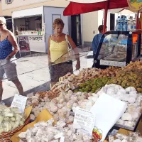 Koper v znamenju sla&scaron;čic