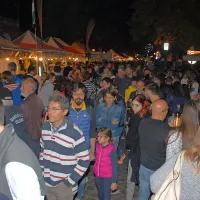 V Gorico na kurto&scaron; in pleskavico