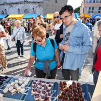 Sladek utrip v mestnih žilah