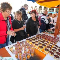 Sladek utrip v mestnih žilah