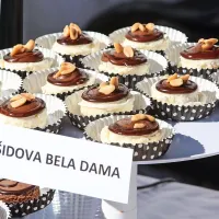 Sladek utrip v mestnih žilah