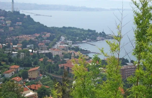 Barkovlje