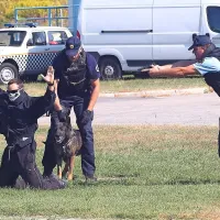 Letalske akrobacije v Portorožu