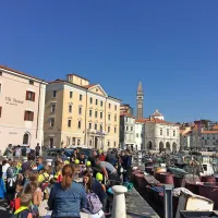 Šolarji so risali razglednice z okoljskim sporočilom za predsednika 
države Boruta Pahorja. 