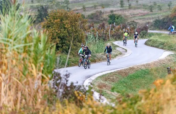 Na Istrskem kolesarskem maratonu več kot 500 kolesarjev