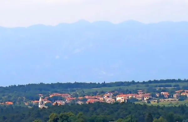 Agrarna skupnost Križ  - Filipčje Brdo od občine Sežana zahteva 
dobrih 150.000 evrov za nezmožnost uporabe zemljišč v obdobju 
vračanja premoženja. Na zaključek obravnave pa bodo morali 
bržkone še kar dolgo časa čakati.