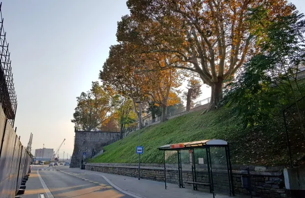 Koper