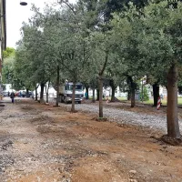 Za kaos na trgu Brolo naj bi bilo krivo slabo obve&scaron;čanje