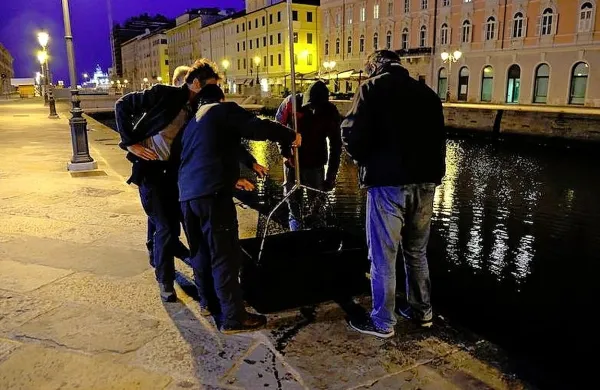 Morski skat spet svobodno plava
