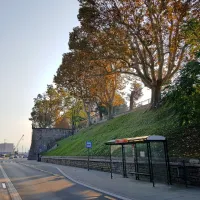 Bodoči  vhod v podzemno  garažno hišo so predvideli na lokaciji zdajšnje avtobusne čakalnice, pri 
čemer bodo morali gradbinci zelo paziti na ohranitev spomeniško zaščitene platane v ozadju. 