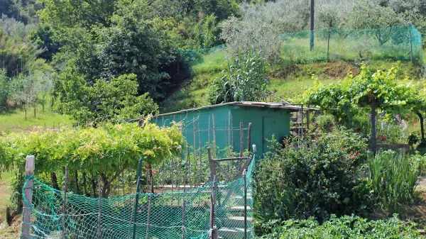 Kažete v izolskem amfiteatru po  pravilih ne bi smele presegati 15 kvadratnih metrov površine. 