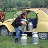 Dva sedeža za dva kmeta in zadaj prostor za 50 kilogramov 
krompirja, manjši sod vina ...