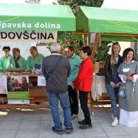 V Vipavskem križu se je zbralo 25 nevladnih organizacij