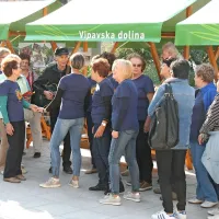 V Vipavskem križu se je zbralo 25 nevladnih organizacij