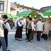 V Vipavskem križu se je zbralo 25 nevladnih organizacij