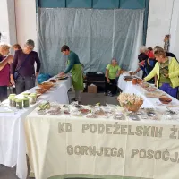 Najlep&scaron;e krave so na&scaron;le nove hleve