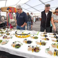 Koprski vikend v znamenju dnevov kmetijstva slovenske Istre