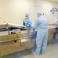 Mipov bik se je umaknil Pivkinemu pi&scaron;čancu