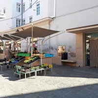 Po ribe bo še naprej mogoče na piransko tržnico.