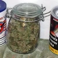 Pri osumljenih dijakih so policisti  zasegli  približno dva kilograma 
konoplje, ekstazi in kokain.