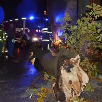 V slovenski Istri ponoči na delu 80 gasilcev, na Bistri&scaron;kem zalilo več objektov, veter odkrival strehe, lomil drevje