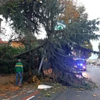 V slovenski Istri ponoči na delu 80 gasilcev, na Bistri&scaron;kem zalilo več objektov, veter odkrival strehe, lomil drevje
