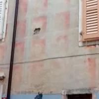 Palača Almerigogna