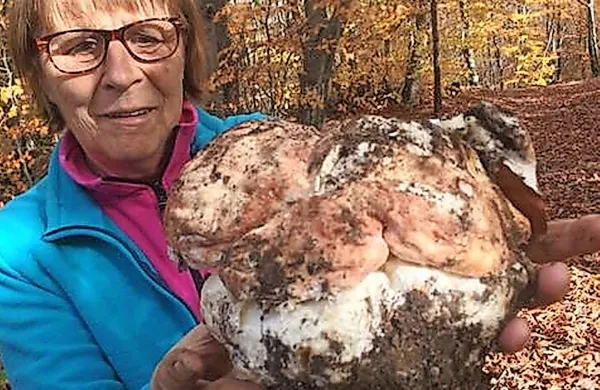Jurček je tehtal 1,4 kilograma