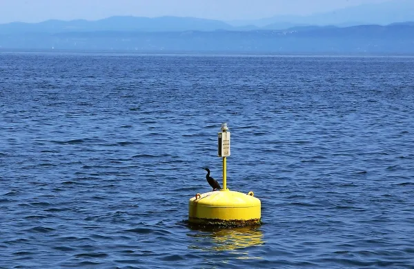 EU namenja 300 milijonov evrov za varovanje oceanov