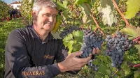 Prodaja vina je specifična. Povezana je z regijo, od koder vino 
izhaja, nujno pa je treba tudi vedeti, kako grozdje zraste  in kako se 
iz njega pridela dobro vino,  je prepričan Marjan Colja.
