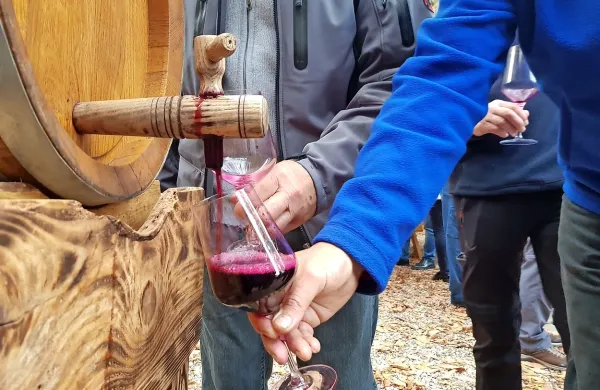 Mlado kra&scaron;ko vino vabi v &Scaron;tanjel