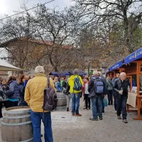 Mlado kra&scaron;ko vino vabi v &Scaron;tanjel