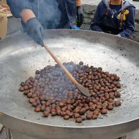 Mlado kra&scaron;ko vino vabi v &Scaron;tanjel