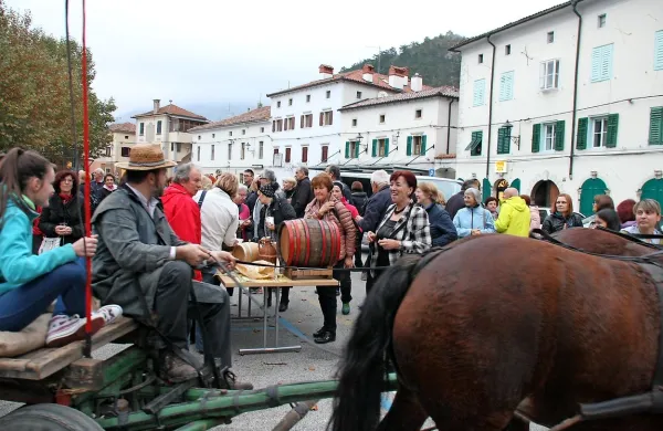 Furenga svetega Martina je pot zaključila v Vipavi