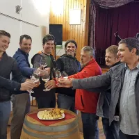 Vinski hrami Vipavske doline med martinom in božičem

