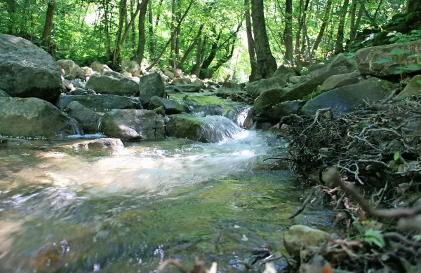 Dolina Glinščice