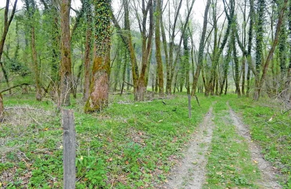 Fotografija je simbolična.