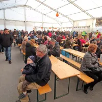 Strunjan spet v znamenju kakijev