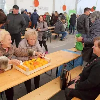 Strunjan spet v znamenju kakijev