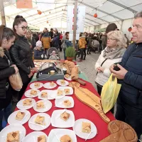 Strunjan spet v znamenju kakijev
