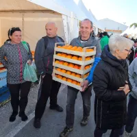 Strunjan spet v znamenju kakijev