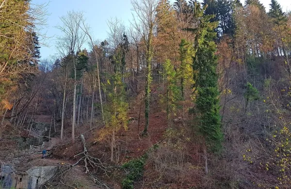 Tragična nesreča v bližini Jazen se je zgodila na strmem pobočju. 