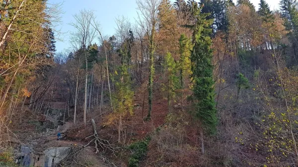 Tragična nesreča v bližini Jazen se je zgodila na strmem pobočju. 