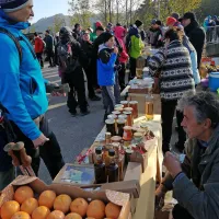 Več kot 5000 pohodnikov po Vertovčevih poteh