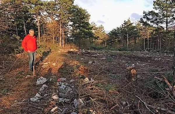 Amicus in Može pod lupo in&scaron;pekcije