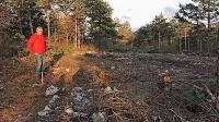 Amicus in Može pod lupo in&scaron;pekcije